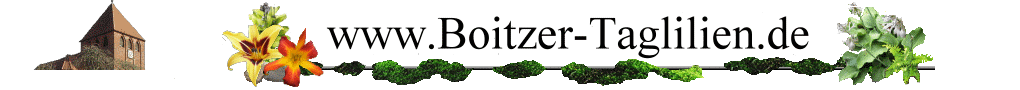 www.Boitzer Taglilien.de